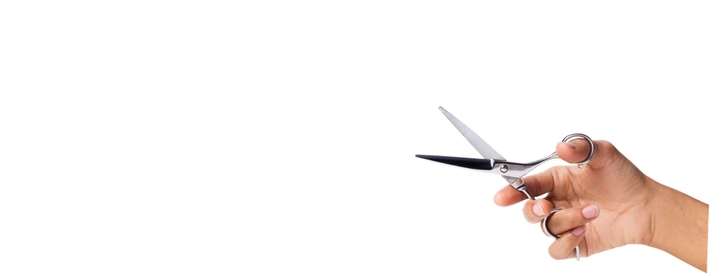Vector